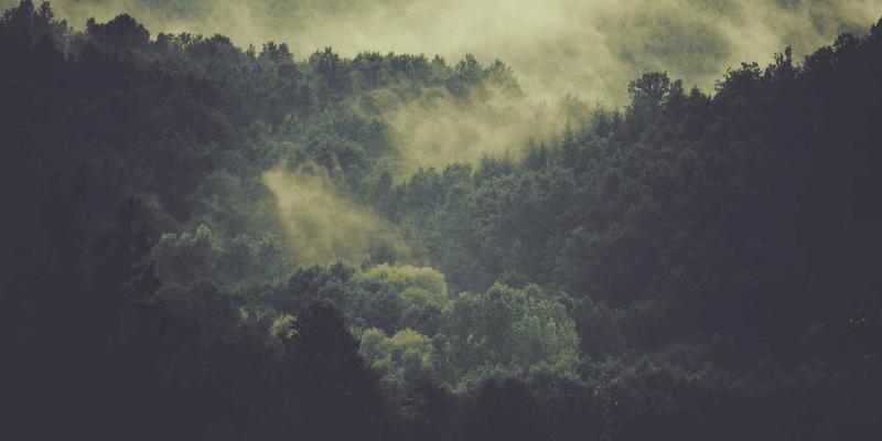 从校园到社区：大学生如何通过公益援助实现男孩成长与青少年支持