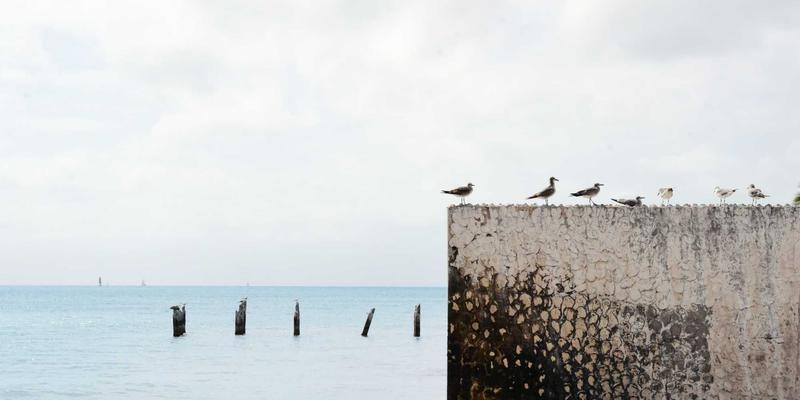 公益援助52:以慈善为桥,点亮青少年教育未来