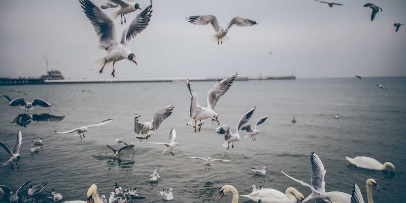 公益援助90：照亮男孩成长之路，心理辅导如何重塑未来