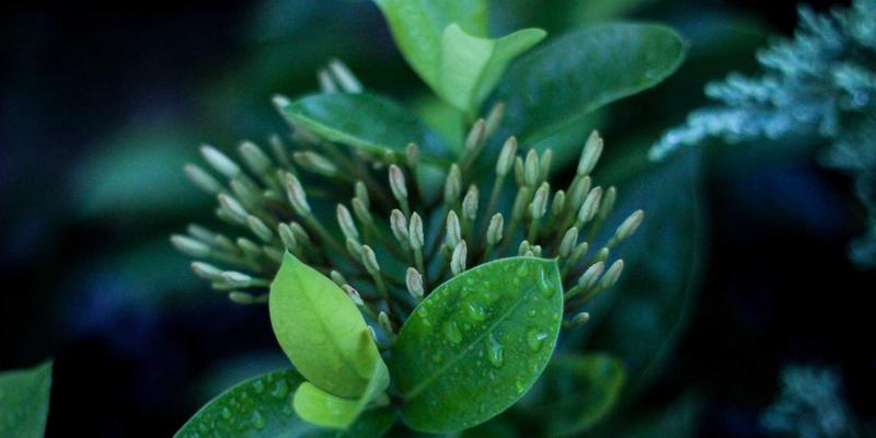 公益援助中的性别平等视角：聚焦边缘化女孩的教育与发展需求