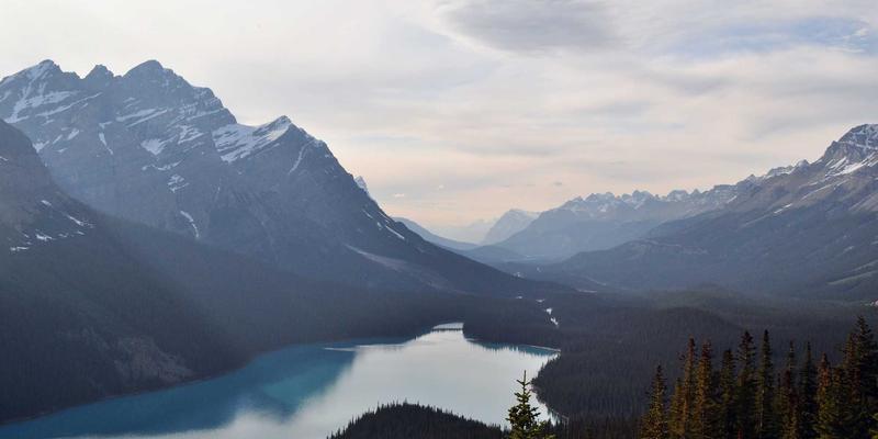 公益援助中的正念干预：帮助受助者建立内在稳定感