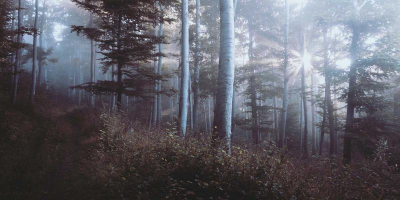 公益援助如何照亮男孩成长之路？心理辅导是关键一环