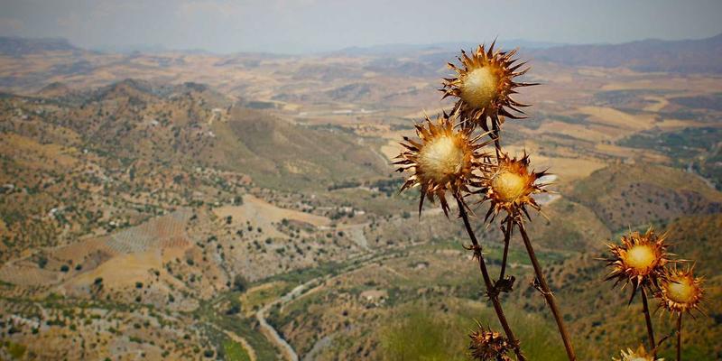 当波西米亚风公益遇见心灵疗愈：偏远地区医疗援助实践指南