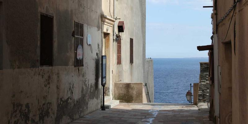 慈善与教育援助如何为乡村产业振兴注入心理资本与持久动力